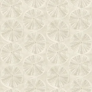 Chesapeake 4071-71027 Sea Biscuit Beige Sand Dollar Wallpaper