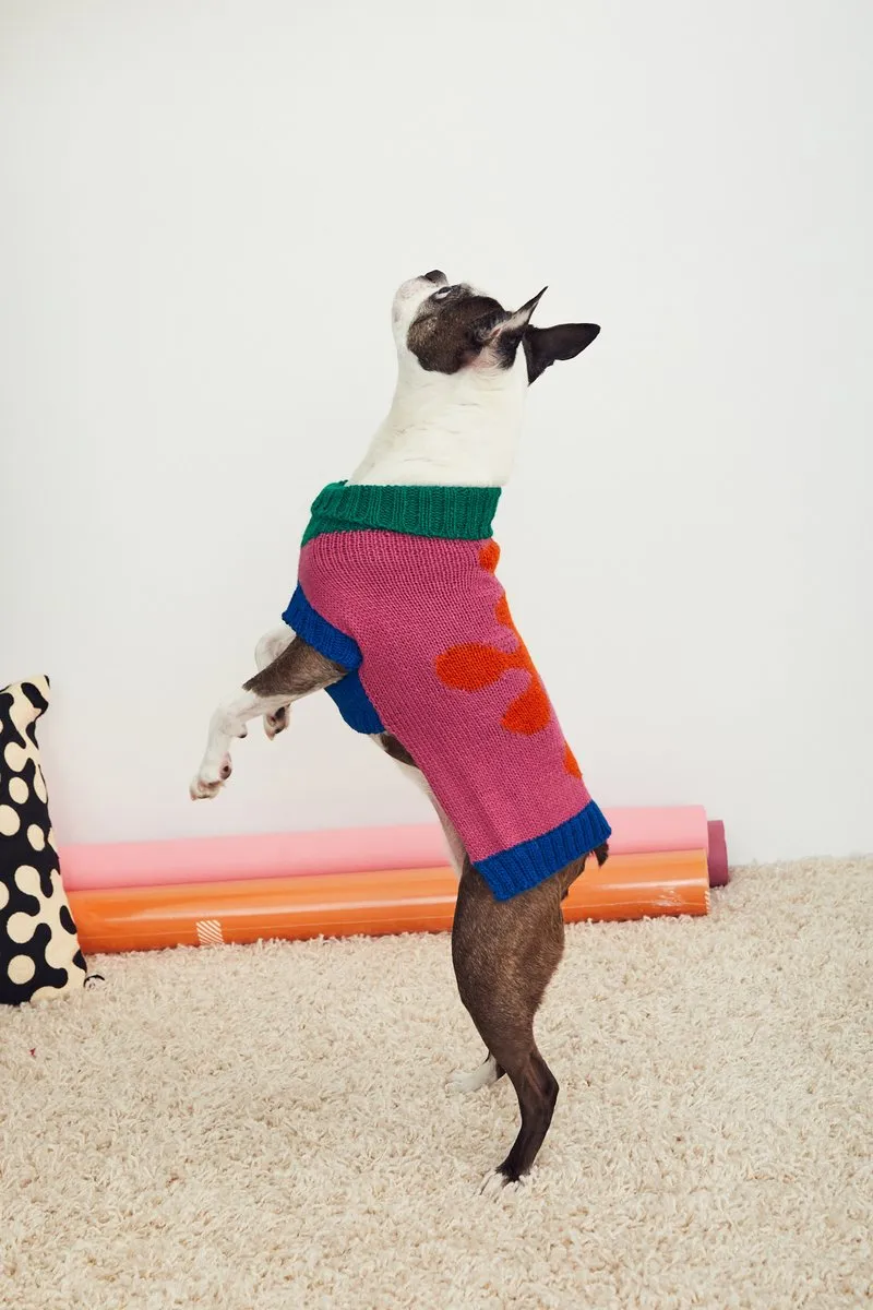Flower Dog Sweater (FINAL SALE)