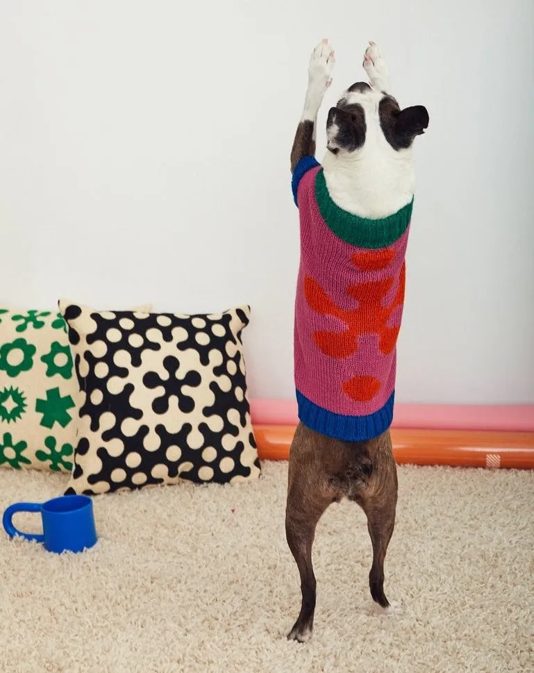 Flower Dog Sweater (FINAL SALE)